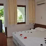 Anil 3*