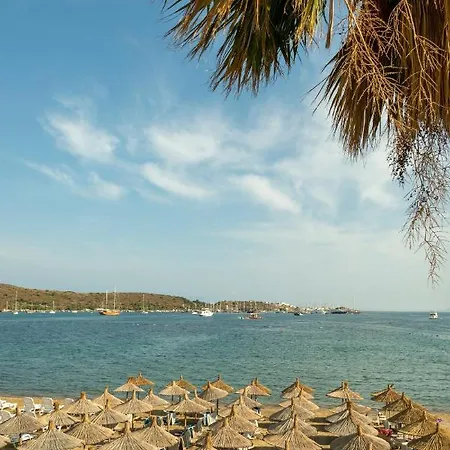 Ξενοδοχείο Anil 3*